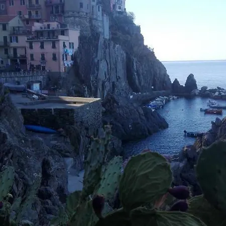 Il Centro Manarola